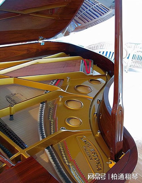 柏通乐器 钢琴必须修理的五个关键警告标志